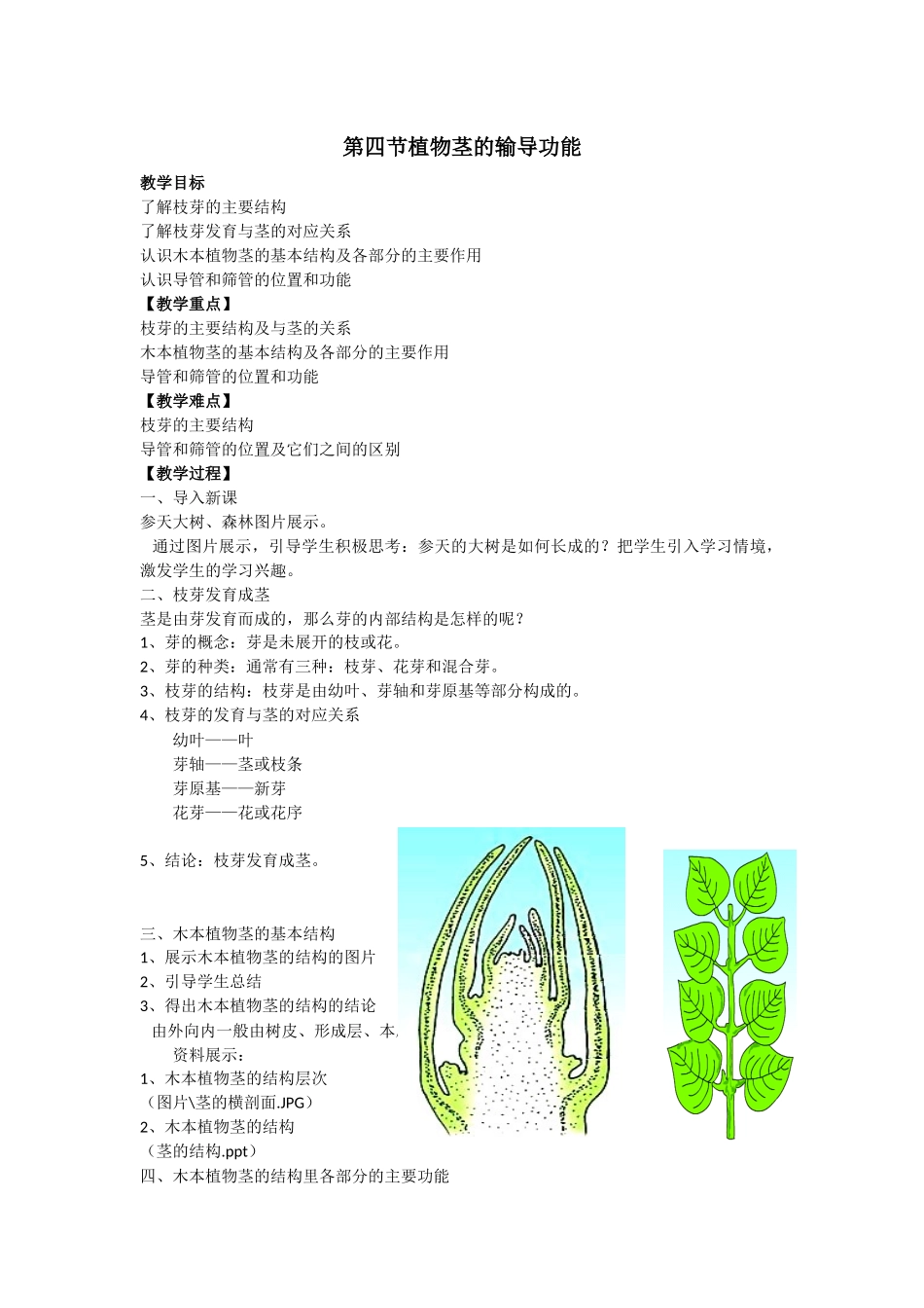 第四节植物茎的输导功能_第1页