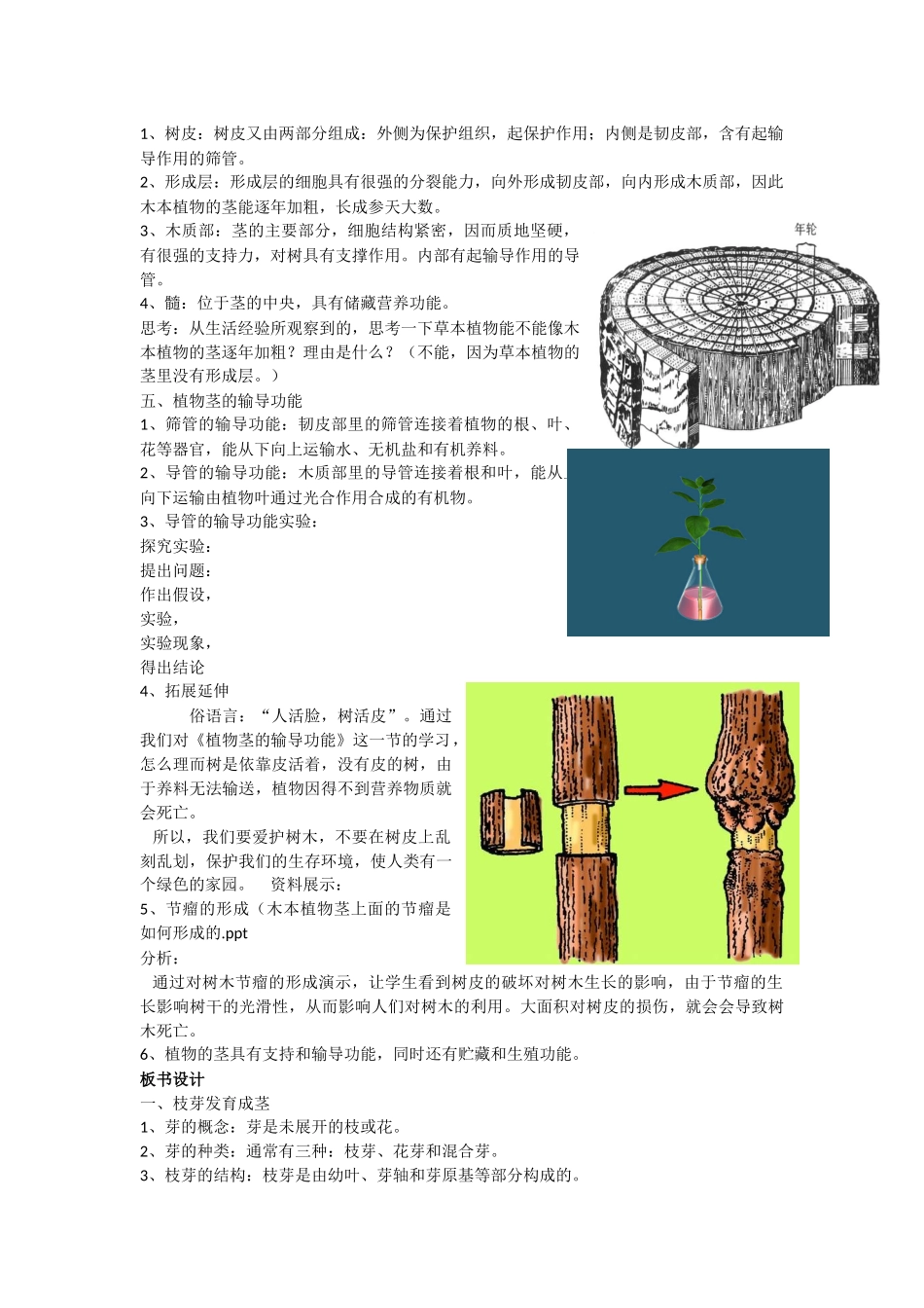 第四节植物茎的输导功能_第2页