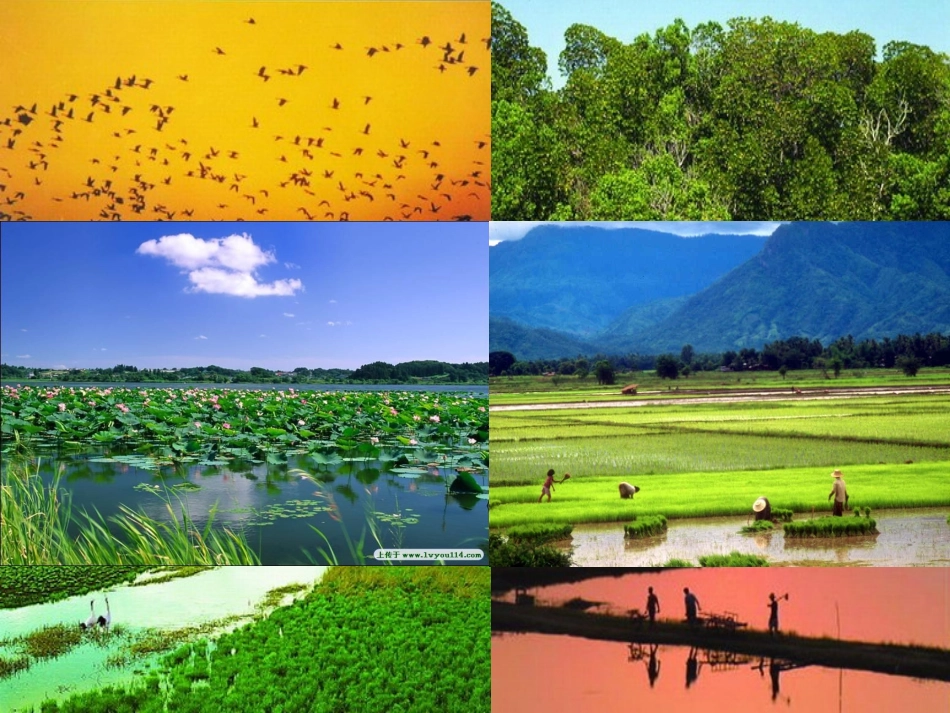 第三节自然资源与人类活动-(2)_第3页