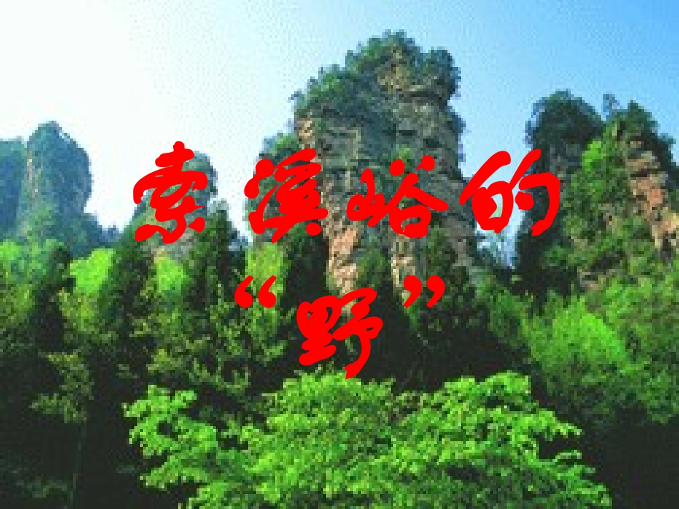 《索溪峪的野》新授PPT_第3页