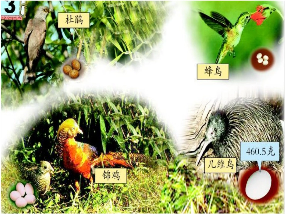 小数点位置移动引起小数的大小变化的规律(青岛版四年级上册)_第1页