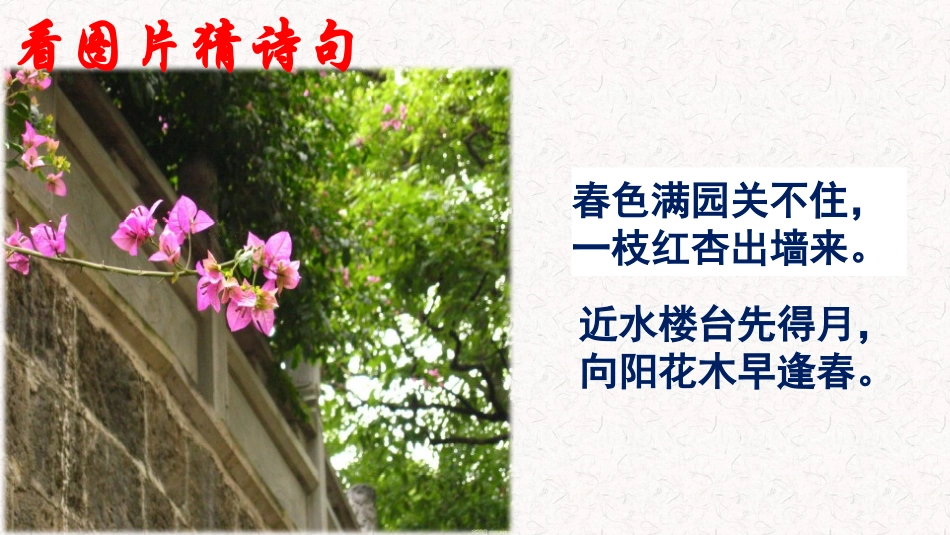 语文实践活动寻找古诗词中的科学_第1页