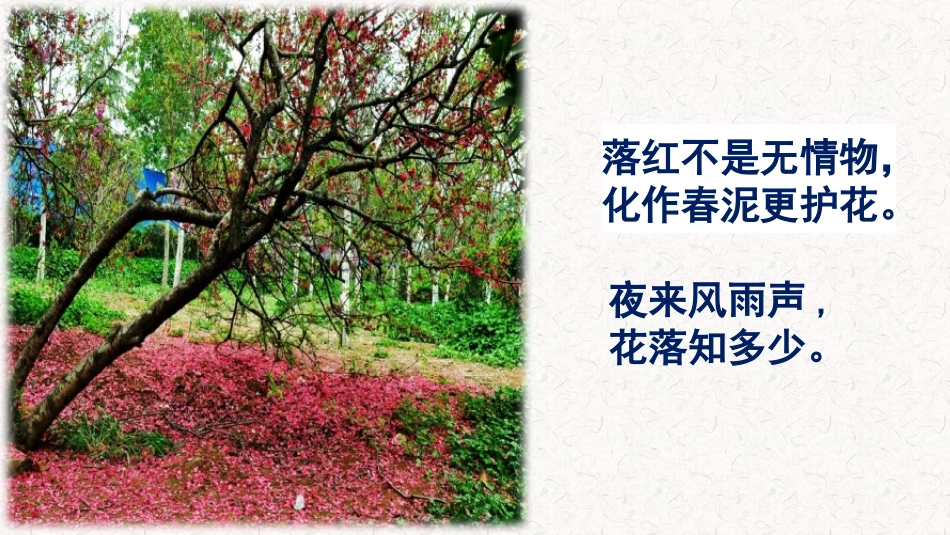 语文实践活动寻找古诗词中的科学_第2页