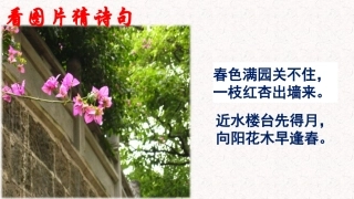 语文实践活动寻找古诗词中的科学