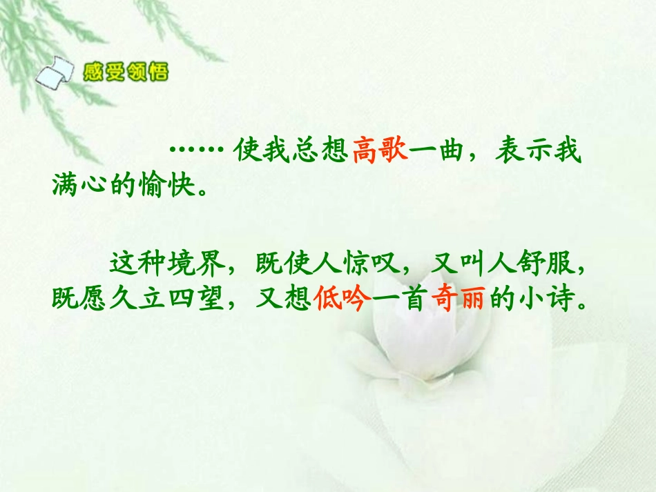 第1课-草原--PPT课件_第3页