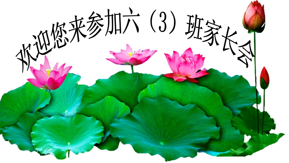 3-我们手拉手_第2页