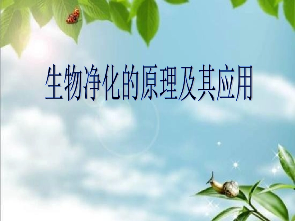 第2节-生物净化的原理及其应用_第3页