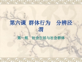 社会生活中的群体