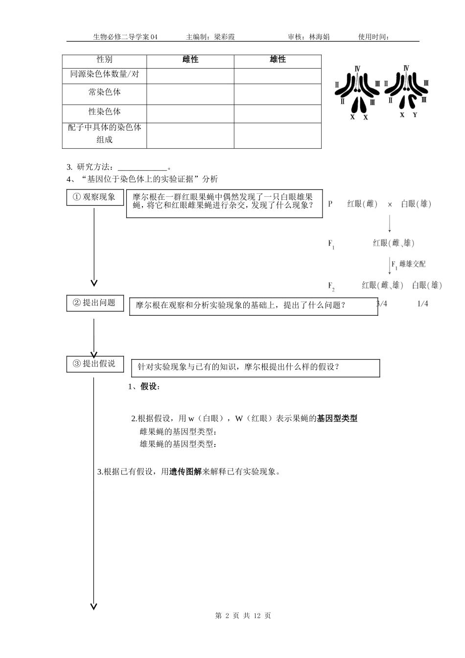 一果蝇的伴性遗传_第2页