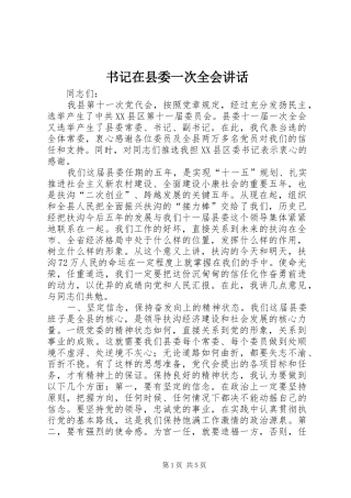 书记在县委一次全会讲话