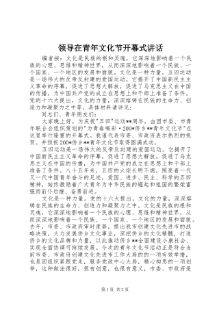 领导在青年文化节开幕式讲话
