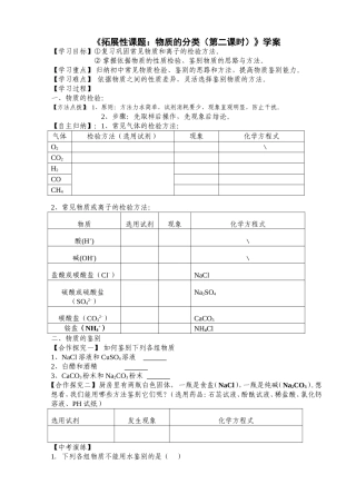 拓展性课题物质的分类
