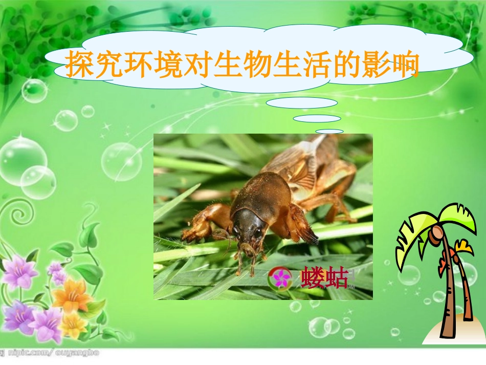 宝泉岭实验设计汇报_第2页