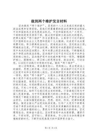 做到两个维护发言材料
