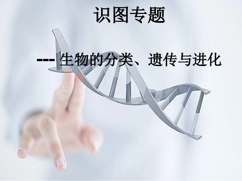 科学·技术·社会中国拥抱“基因世纪”_第1页