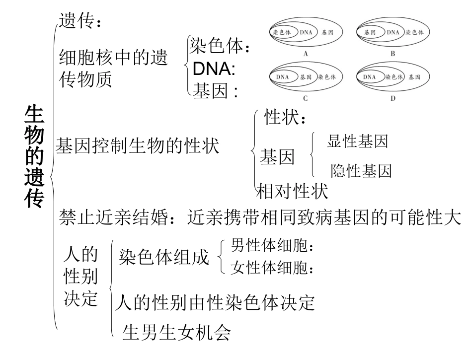 科学·技术·社会中国拥抱“基因世纪”_第3页