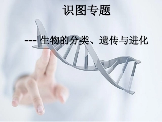 科学·技术·社会中国拥抱“基因世纪”