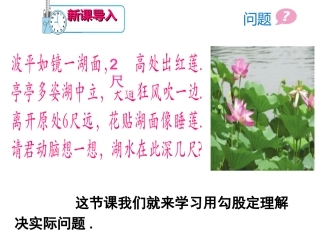 利用勾股定理解决实际问题