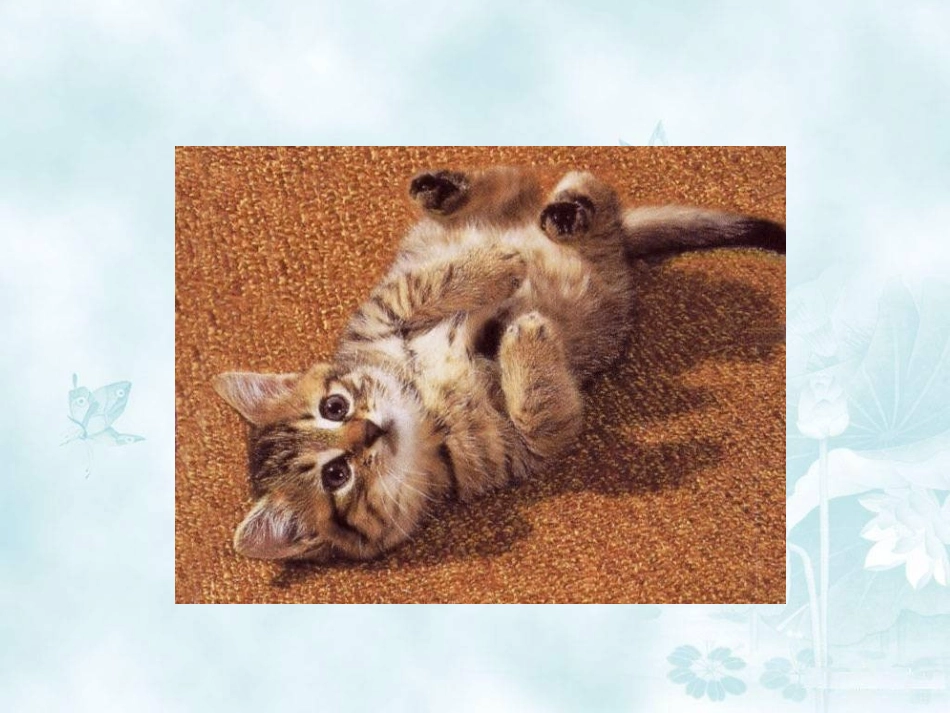 6.我们家的猫_第2页