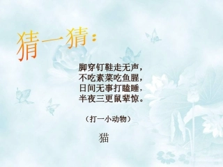 6.我们家的猫