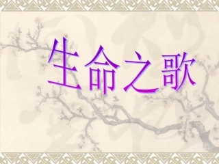 槟榔树下摇网床