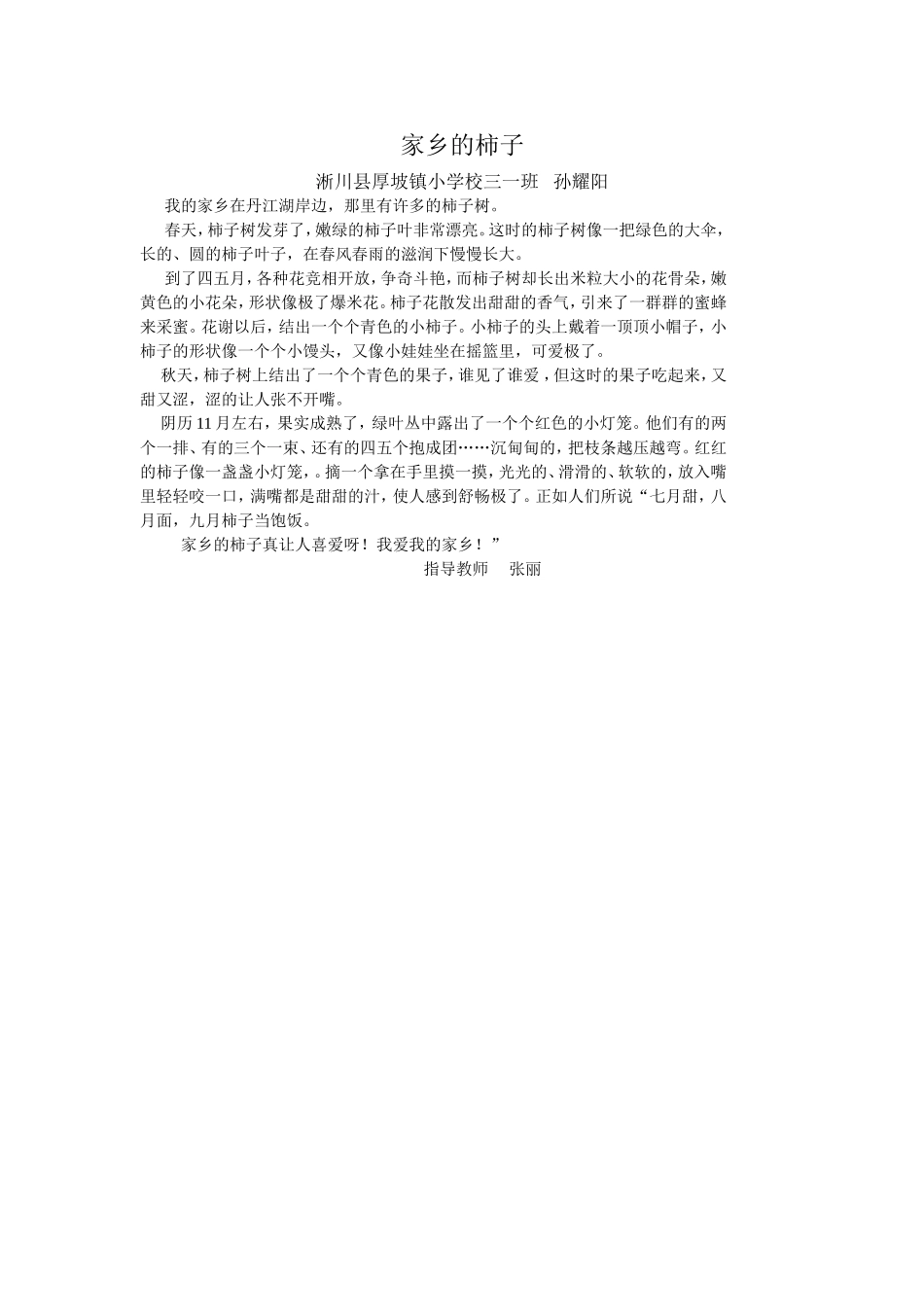 家乡的柿子1_第1页