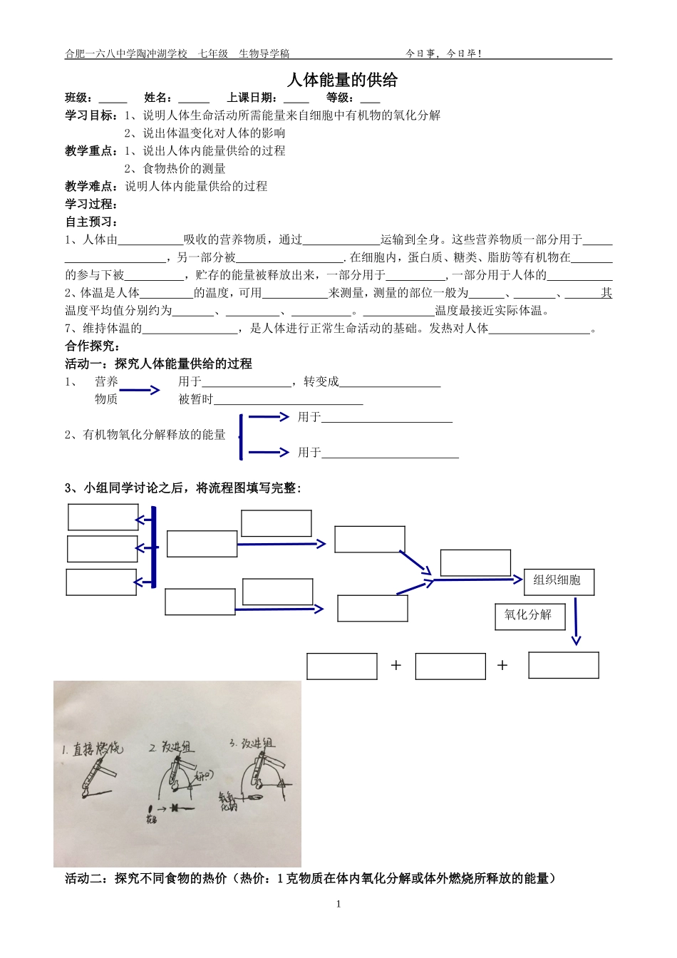 第五节人体能量的供给_第1页