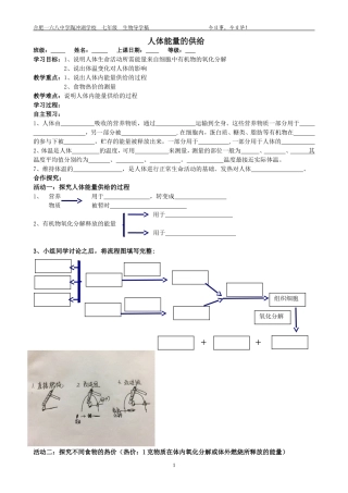 第五节人体能量的供给