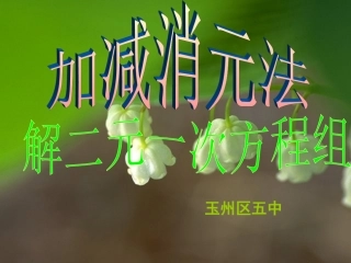 二元一次方程加减法