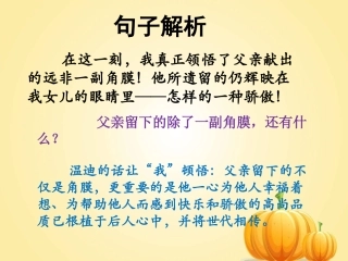 《永生的眼睛》句子解析