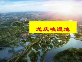 第2组-学生汇报