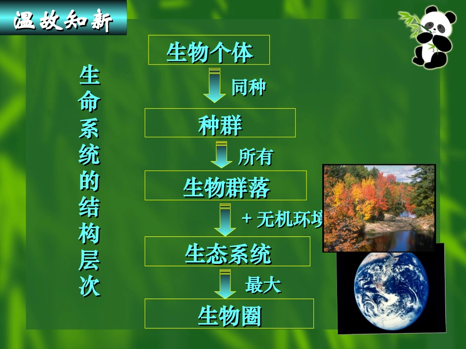 与生物有关的职业景观设计师-(2)_第1页