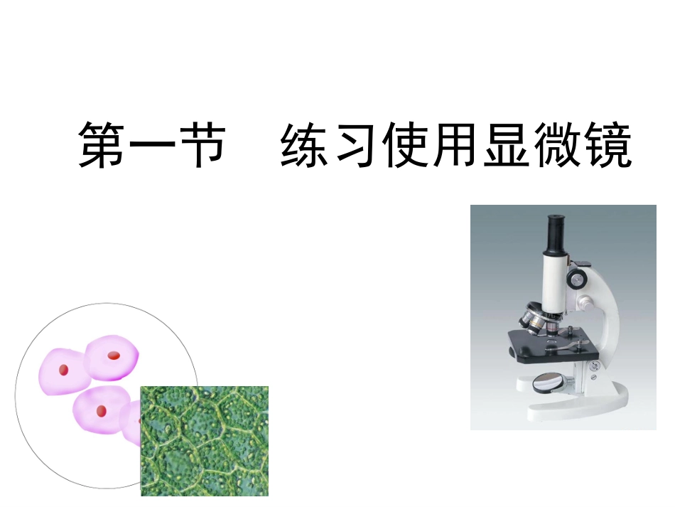科学·技术·社会-人类探索微观世界不可缺少的工具——显微镜_第3页