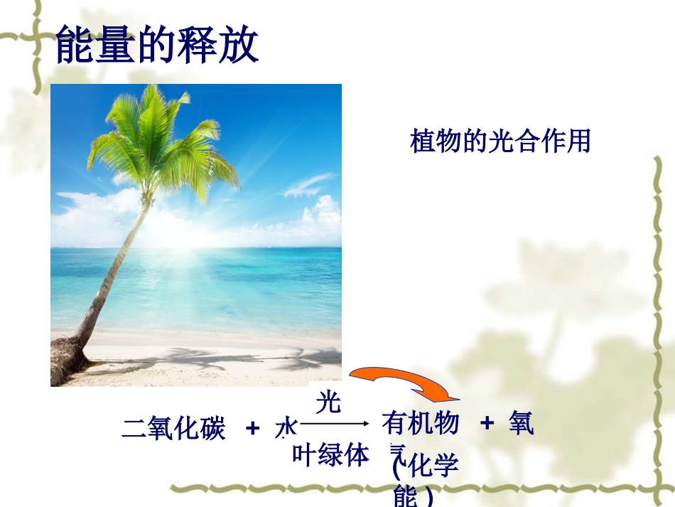 《第1节-能量的释放和利用》课件2_第3页