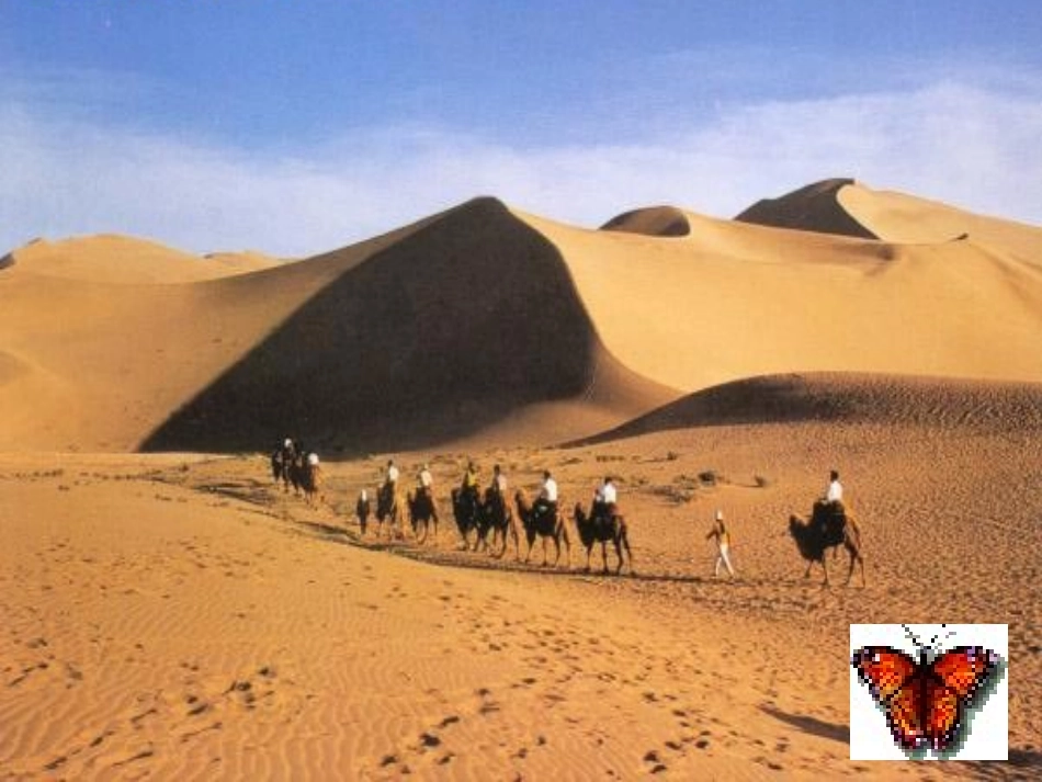 第14课-沟通中外文明的“丝绸之路”_第2页