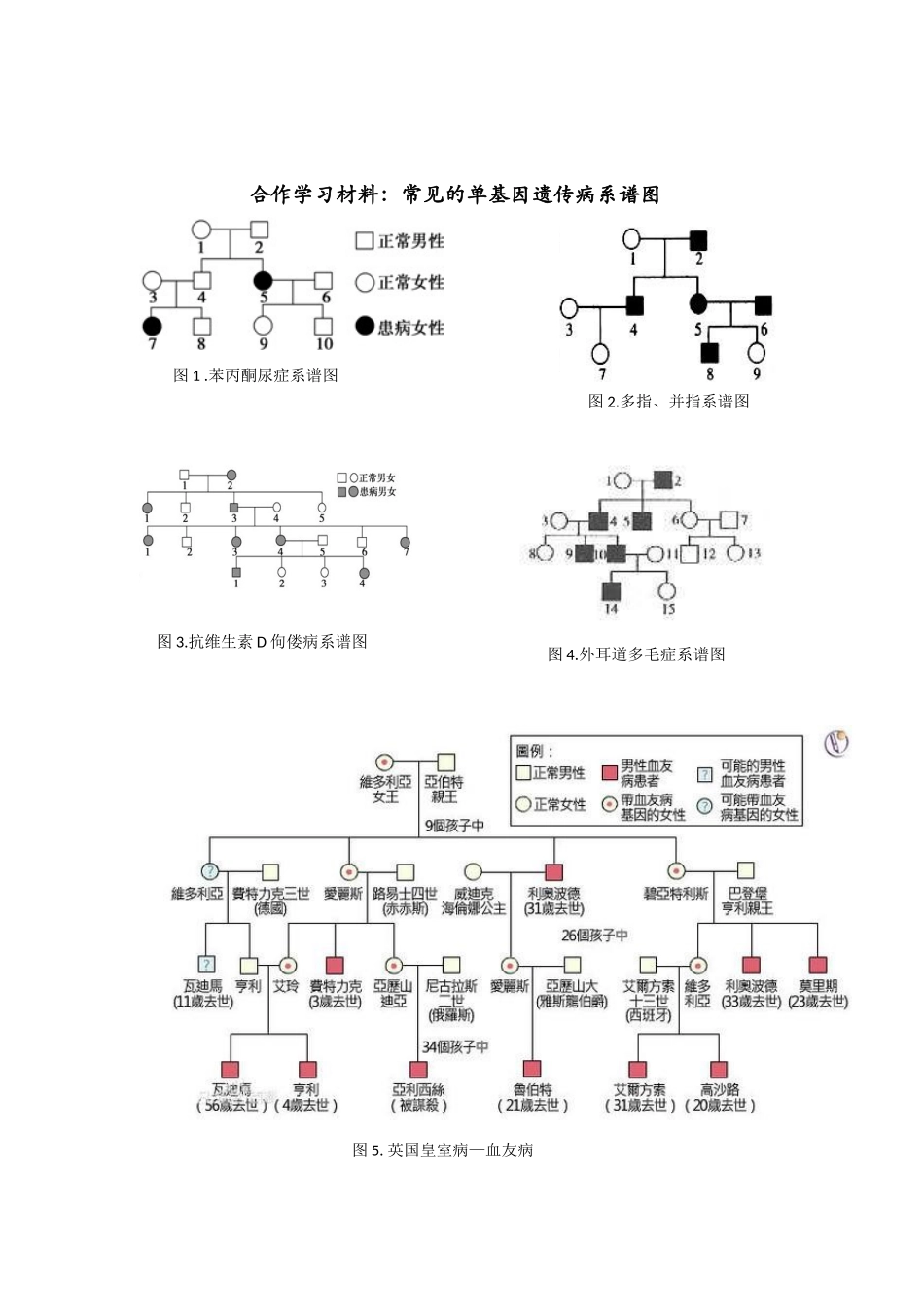 第六节人类遗传病_第2页
