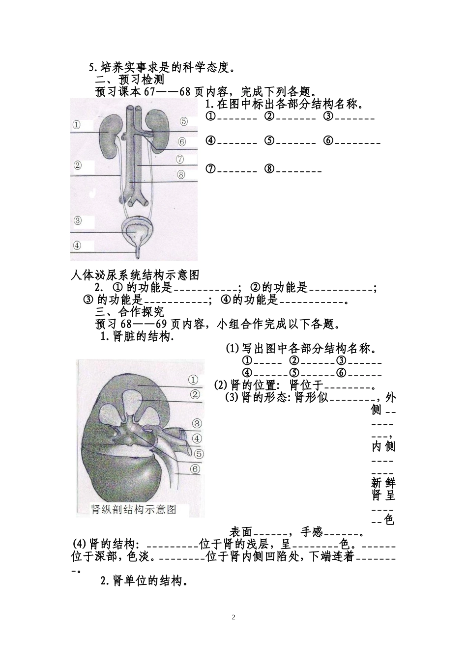 人体泌尿系统的组成学案_第2页