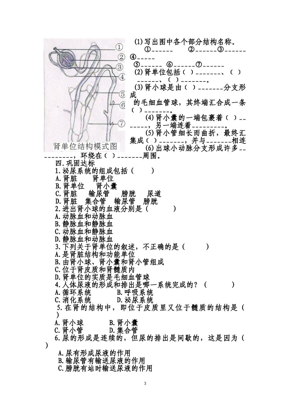 人体泌尿系统的组成学案_第3页