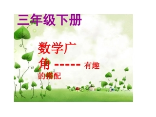 人教2011版小学数学三年级搭配-(11)