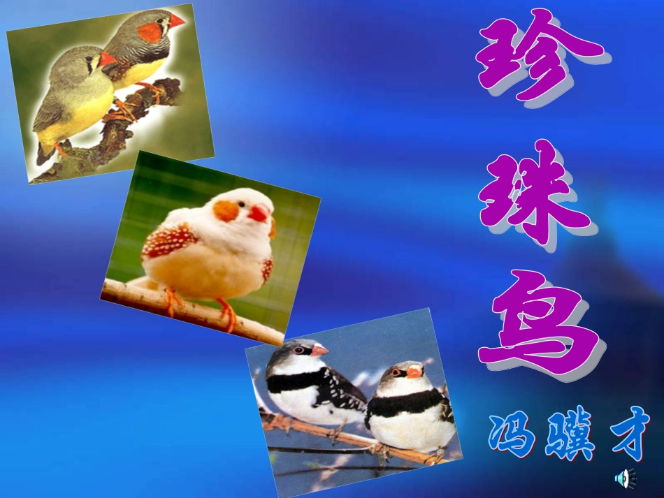 《珍珠鸟》教学ppt_第1页