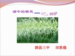 乙醇-(3)