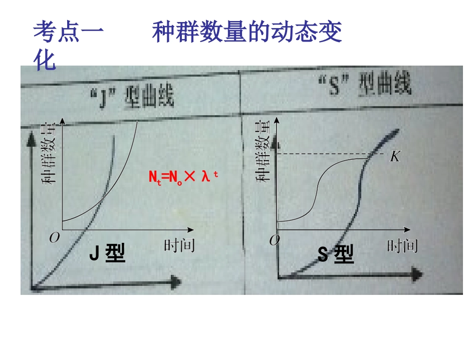 种群数量的变化_第3页
