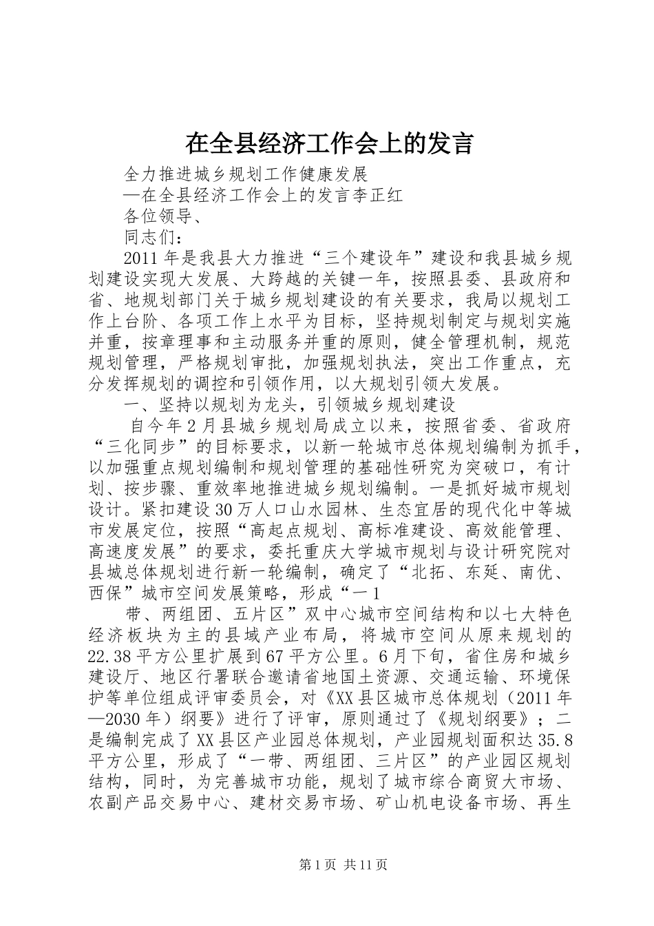 在全县经济工作会上的发言_第1页