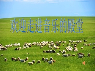 辽阔的草原-(2)