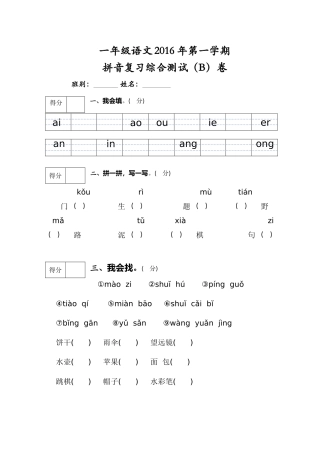 拼音复习综合测试(B)卷1