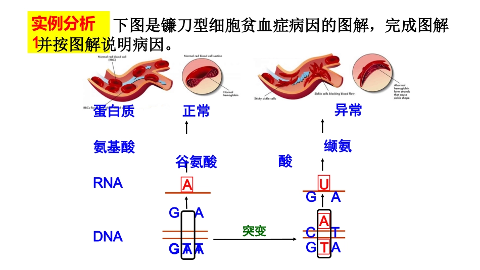 科学·技术·社会-基因治疗_第3页