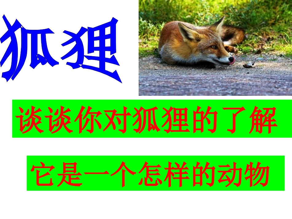 1322《金色的脚印》课件_第1页