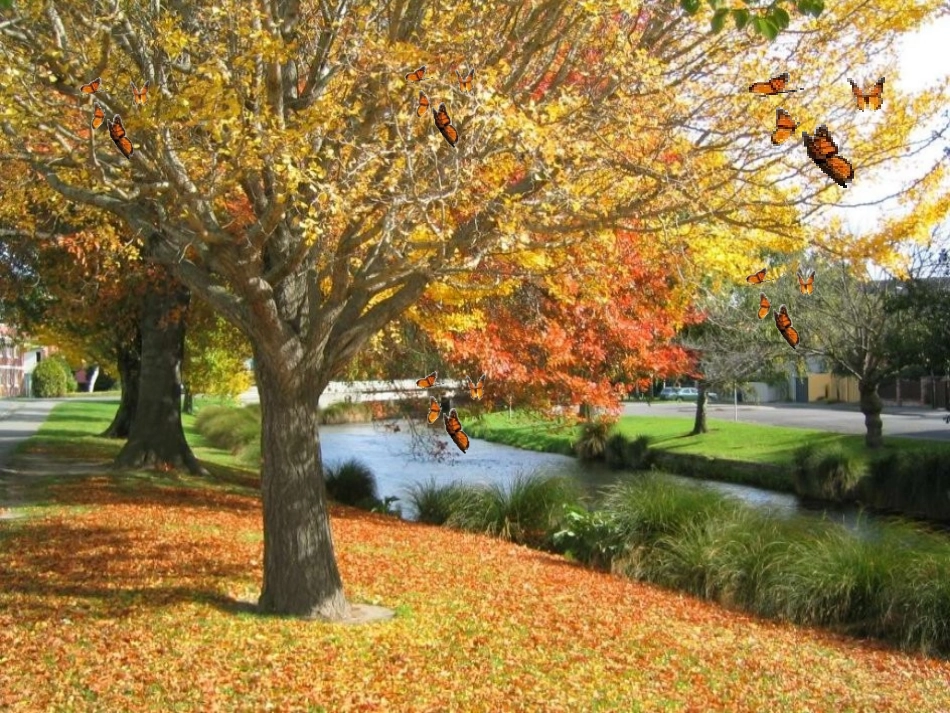 小学数学北师大2011课标版三年级什么是周长——蒋彤_第2页