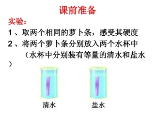 第三节植物生长需要水和无机盐