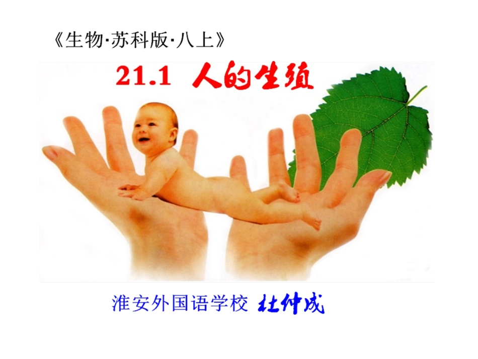 第1节人的生殖-(2)_第1页